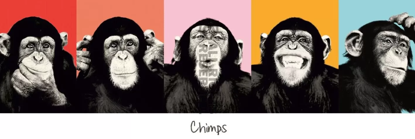 NANU-NANA Jumboposter The Chimp - Pop, Nr. 36 Discount