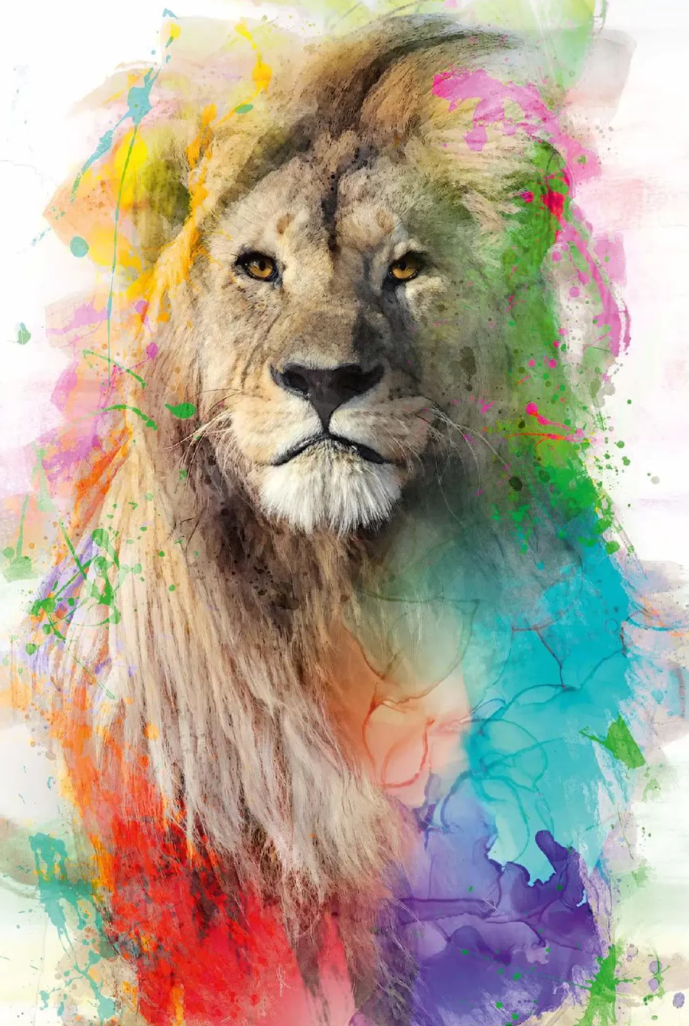 NANU-NANA Poster Multicolor Lion, Nr. 94 Online