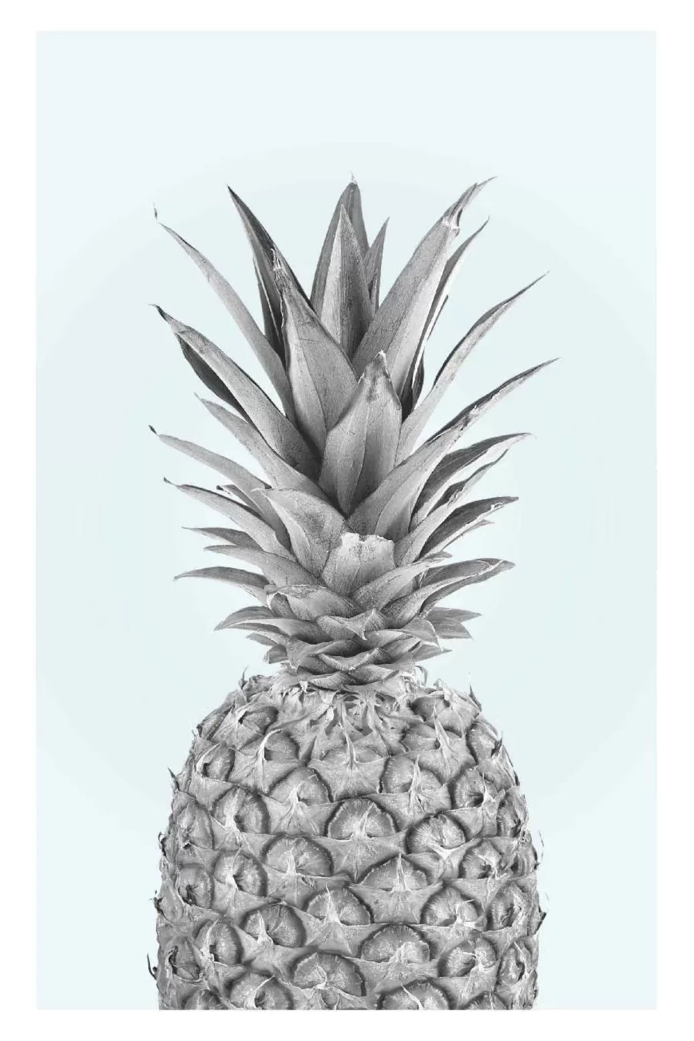 NANU-NANA Poster Pineapple, Nr. 51 Sale