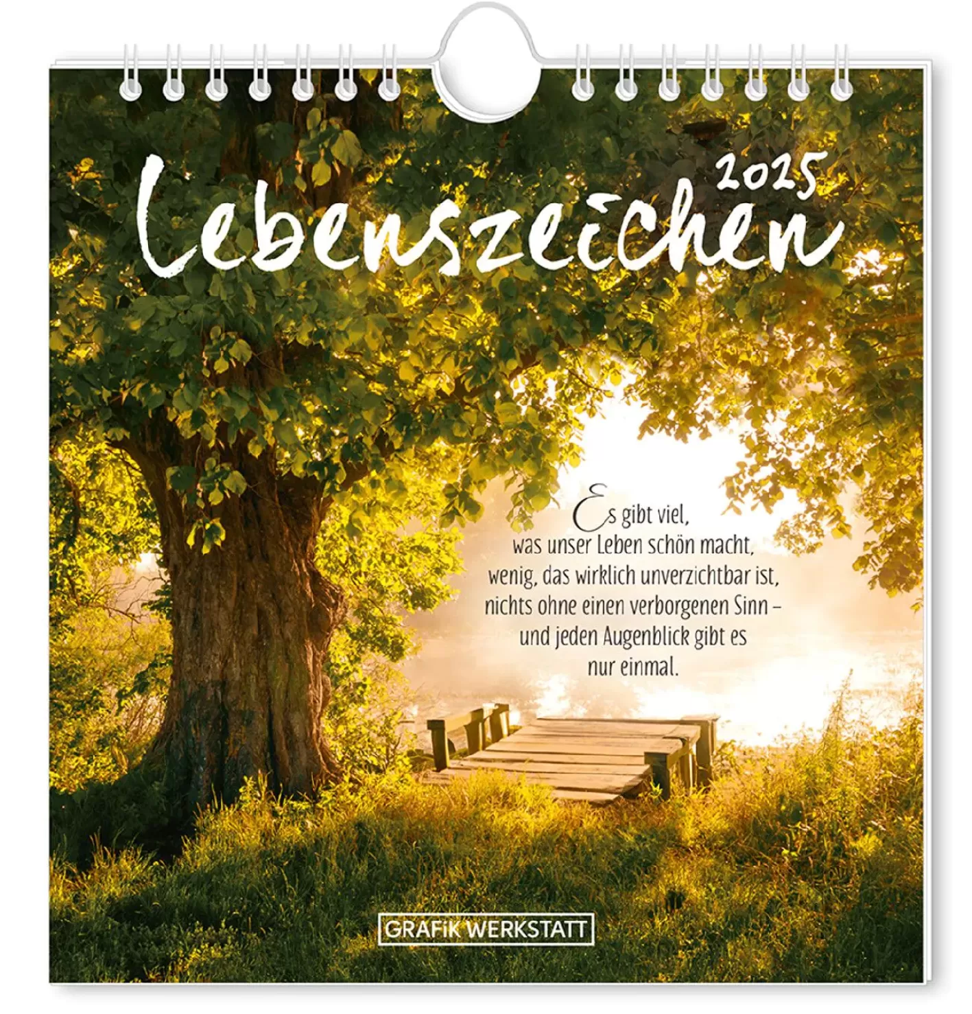 NANU-NANA Postkarten Kalender, 2025, Lebenszeichen New