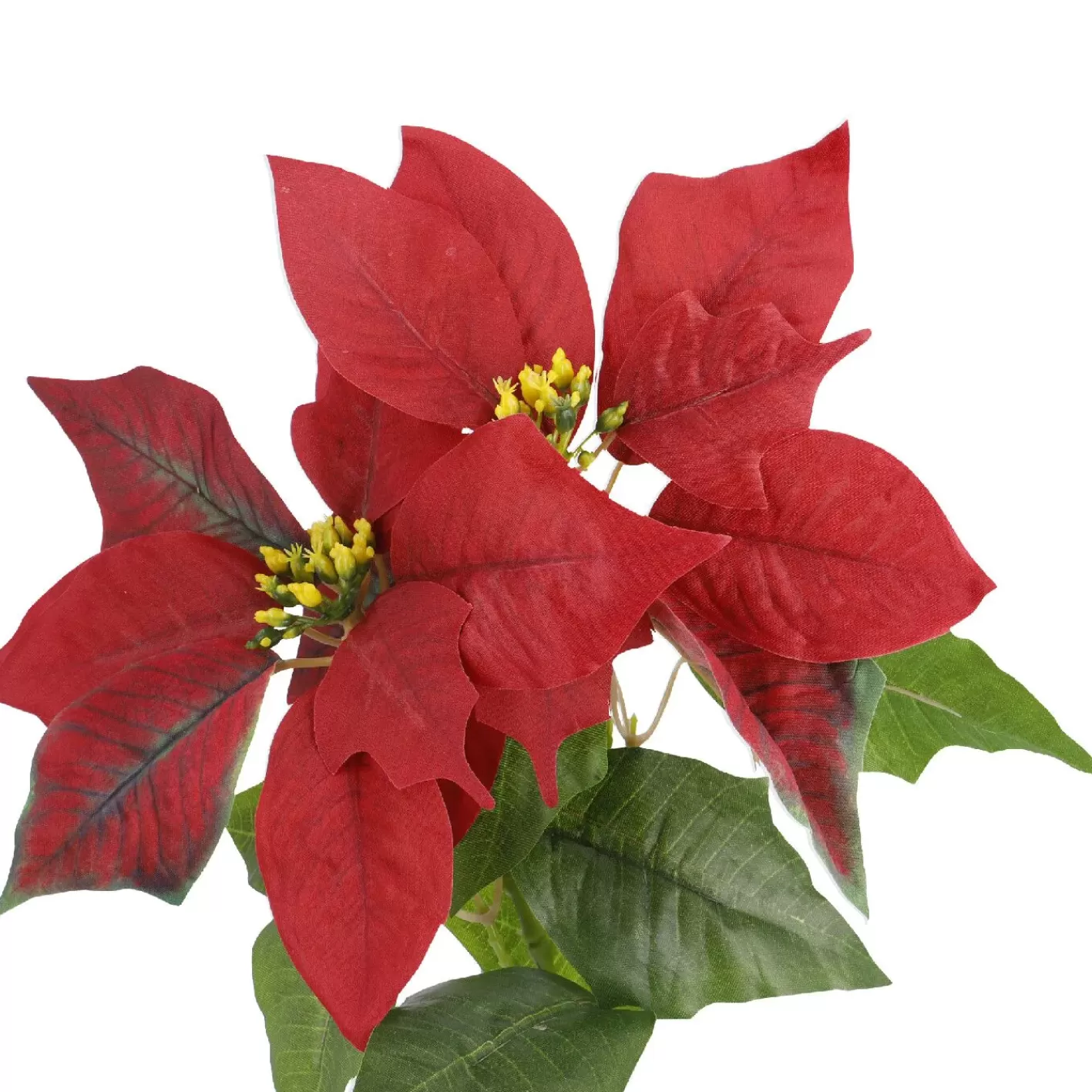 NANU-NANA Weihnachtsstern 2 Blüten/rot, 31 Cm Flash Sale